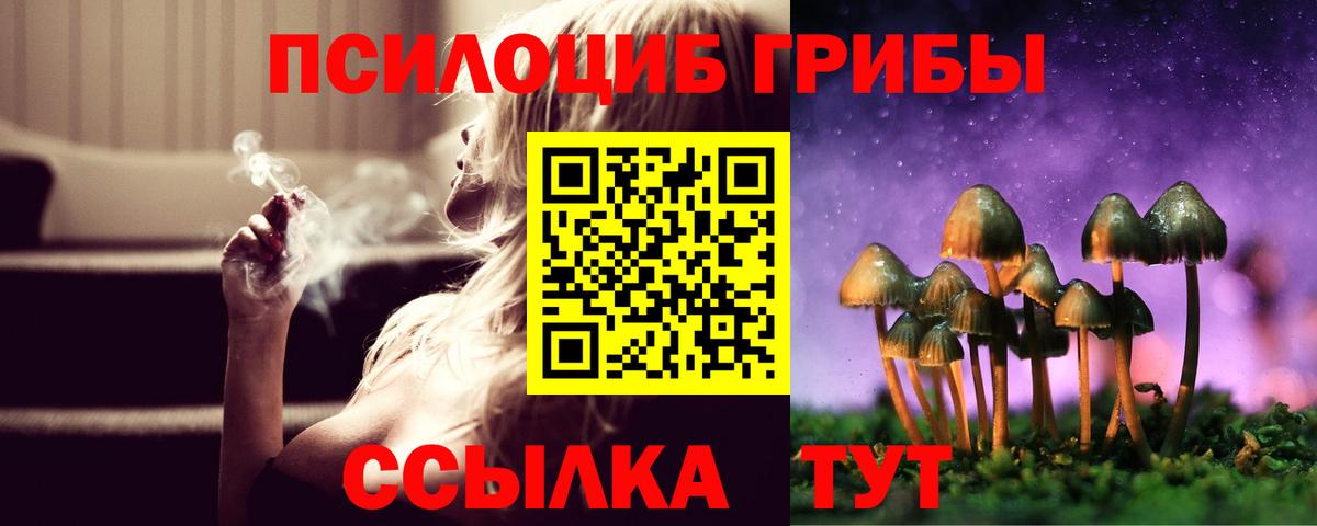 Псилоцибиновые грибы GOLDEN TEACHER  Вход с VPN  Реж  Галлюциногенные грибы MAGIC MUSHROOMS 